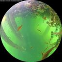 ./images/calvert/underwater/20260601/underwater20260601_170501M.jpg