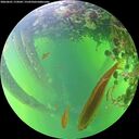 ./images/calvert/underwater/20260601/underwater20260601_174501M.jpg