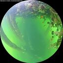 ./images/calvert/underwater/20260601/underwater20260601_175001M.jpg