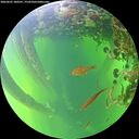 ./images/calvert/underwater/20260601/underwater20260601_180501M.jpg