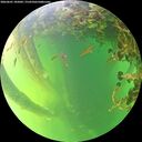 ./images/calvert/underwater/20260601/underwater20260601_185002M.jpg