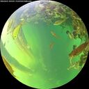 ./images/calvert/underwater/20260601/underwater20260601_185501M.jpg