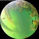 ./images/calvert/underwater/20260601/underwater20260601_190502M.jpg