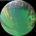 ./images/calvert/underwater/20260601/underwater20260601_201001M.jpg