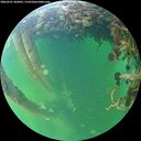 ./images/calvert/underwater/20260601/underwater20260601_202001M.jpg