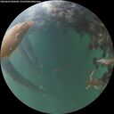 ./images/calvert/underwater/20260602/underwater20260602_050501M.jpg