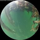 ./images/calvert/underwater/20260602/underwater20260602_054001M.jpg