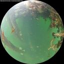 ./images/calvert/underwater/20260602/underwater20260602_055501M.jpg