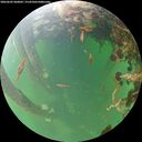 ./images/calvert/underwater/20260602/underwater20260602_060001M.jpg