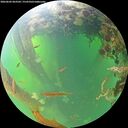 ./images/calvert/underwater/20260602/underwater20260602_063501M.jpg