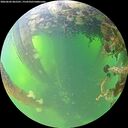 ./images/calvert/underwater/20260602/underwater20260602_065501M.jpg