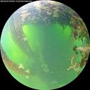 ./images/calvert/underwater/20260602/underwater20260602_070002M.jpg