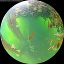 ./images/calvert/underwater/20260602/underwater20260602_071501M.jpg