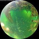 ./images/calvert/underwater/20260602/underwater20260602_093501M.jpg