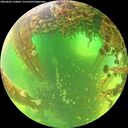 ./images/calvert/underwater/20260602/underwater20260602_110002M.jpg