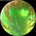 ./images/calvert/underwater/20260602/underwater20260602_111501M.jpg