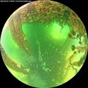 ./images/calvert/underwater/20260602/underwater20260602_112001M.jpg
