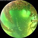 ./images/calvert/underwater/20260602/underwater20260602_112501M.jpg