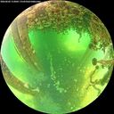 ./images/calvert/underwater/20260602/underwater20260602_113002M.jpg