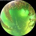./images/calvert/underwater/20260602/underwater20260602_113501M.jpg
