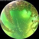 ./images/calvert/underwater/20260602/underwater20260602_114001M.jpg