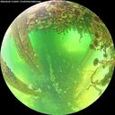 ./images/calvert/underwater/20260602/underwater20260602_115001M.jpg