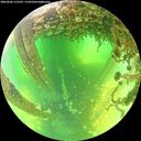 ./images/calvert/underwater/20260602/underwater20260602_115501M.jpg