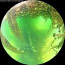 ./images/calvert/underwater/20260602/underwater20260602_120002M.jpg