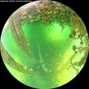 ./images/calvert/underwater/20260602/underwater20260602_120501M.jpg