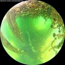 ./images/calvert/underwater/20260602/underwater20260602_121001M.jpg