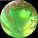 ./images/calvert/underwater/20260602/underwater20260602_121501M.jpg