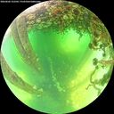 ./images/calvert/underwater/20260602/underwater20260602_122502M.jpg