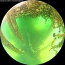 ./images/calvert/underwater/20260602/underwater20260602_123001M.jpg