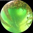 ./images/calvert/underwater/20260602/underwater20260602_123501M.jpg