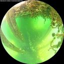 ./images/calvert/underwater/20260602/underwater20260602_124001M.jpg