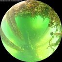 ./images/calvert/underwater/20260602/underwater20260602_124502M.jpg