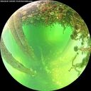./images/calvert/underwater/20260602/underwater20260602_130501M.jpg