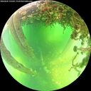./images/calvert/underwater/20260602/underwater20260602_131001M.jpg