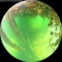 ./images/calvert/underwater/20260602/underwater20260602_131502M.jpg