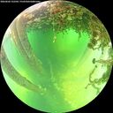 ./images/calvert/underwater/20260602/underwater20260602_132502M.jpg