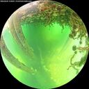 ./images/calvert/underwater/20260602/underwater20260602_133001M.jpg