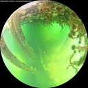 ./images/calvert/underwater/20260602/underwater20260602_133501M.jpg