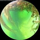 ./images/calvert/underwater/20260602/underwater20260602_141502M.jpg