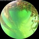 ./images/calvert/underwater/20260602/underwater20260602_142001M.jpg