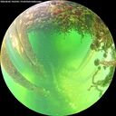 ./images/calvert/underwater/20260602/underwater20260602_142502M.jpg