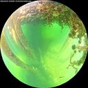 ./images/calvert/underwater/20260602/underwater20260602_143001M.jpg