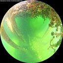 ./images/calvert/underwater/20260602/underwater20260602_143501M.jpg