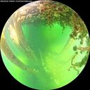 ./images/calvert/underwater/20260602/underwater20260602_144001M.jpg