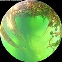 ./images/calvert/underwater/20260602/underwater20260602_144501M.jpg