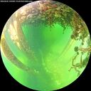 ./images/calvert/underwater/20260602/underwater20260602_145001M.jpg